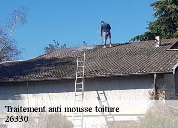 Traitement anti mousse toiture  26330