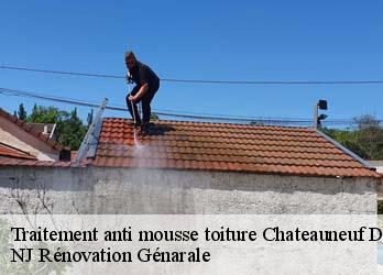 Traitement anti mousse toiture  chateauneuf-de-galaure-26330 NJ Rénovation Génarale