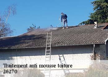 Traitement anti mousse toiture  26270