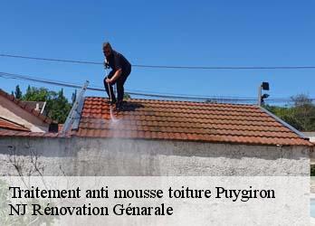 Traitement anti mousse toiture  puygiron-26160 NJ Rénovation Génarale