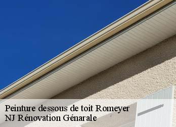 Peinture dessous de toit  romeyer-26150 NJ Rénovation Génarale