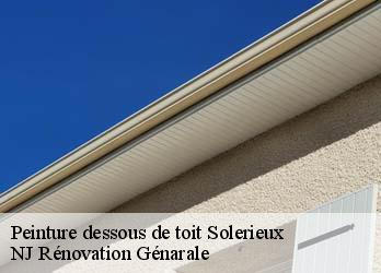 Peinture dessous de toit  solerieux-26130 NJ Rénovation Génarale