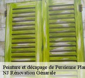 Peinture et décapage de Persienne  plan-de-baix-26400 NJ Rénovation Génarale